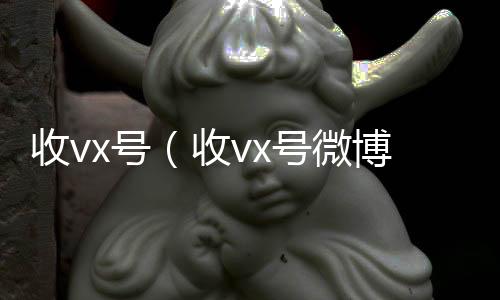 收vx号收vx号（收vx号微博）