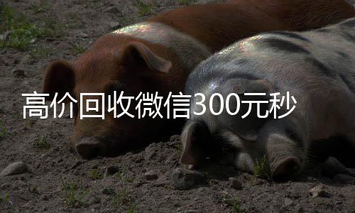 高价回收微信300高价回收vx秒结平台元秒结（高价回收vx300元秒结）